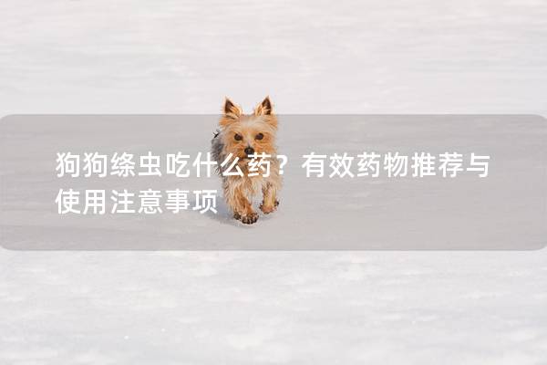 狗狗绦虫吃什么药？有效药物推荐与使用注意事项