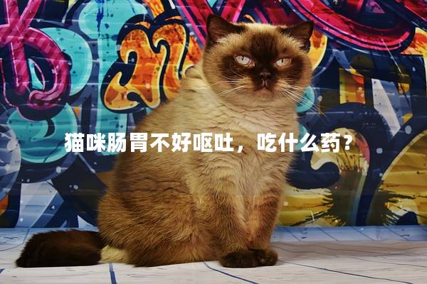 猫咪肠胃不好呕吐，吃什么药？