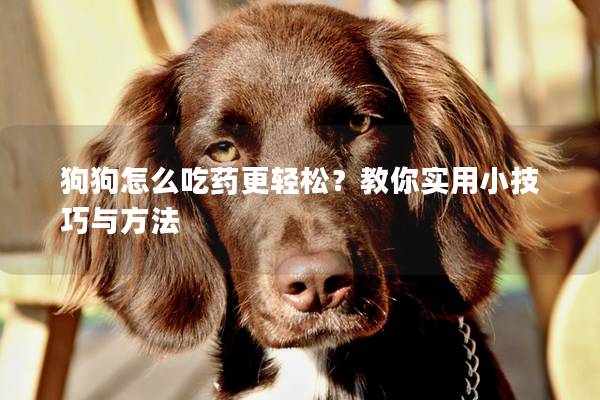 狗狗怎么吃药更轻松？教你实用小技巧与方法