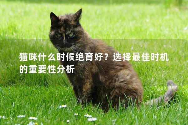 猫咪什么时候绝育好？选择最佳时机的重要性分析