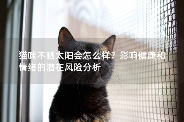 猫咪不晒太阳会怎么样？影响健康和情绪的潜在风险分析