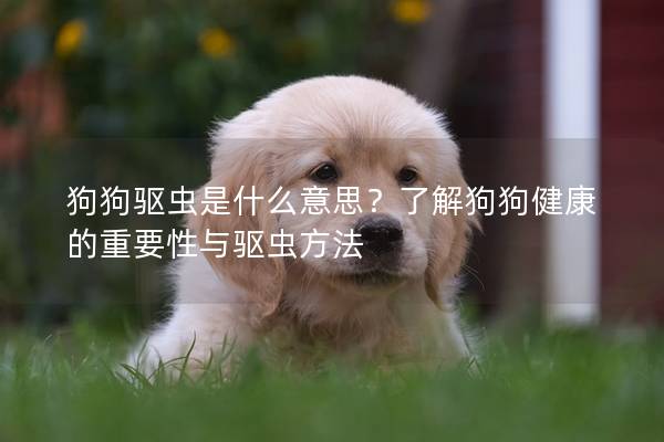 狗狗驱虫是什么意思？了解狗狗健康的重要性与驱虫方法