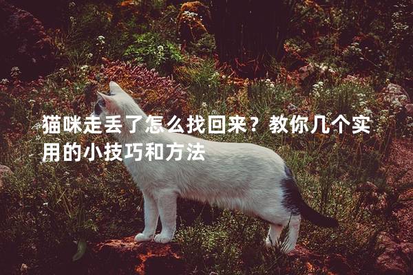 猫咪走丢了怎么找回来？教你几个实用的小技巧和方法