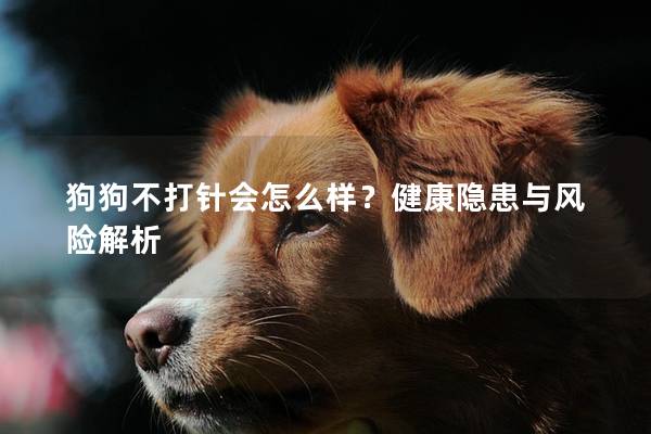 狗狗不打针会怎么样？健康隐患与风险解析