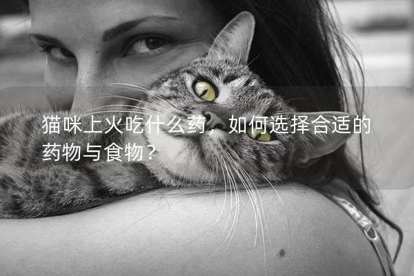 猫咪上火吃什么药，如何选择合适的药物与食物？