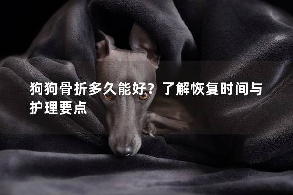 狗狗骨折多久能好？了解恢复时间与护理要点