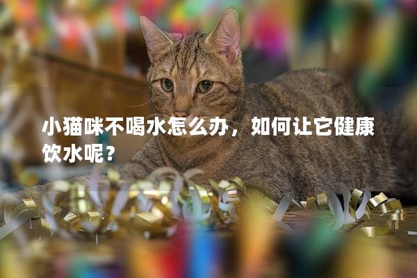 小猫咪不喝水怎么办，如何让它健康饮水呢？