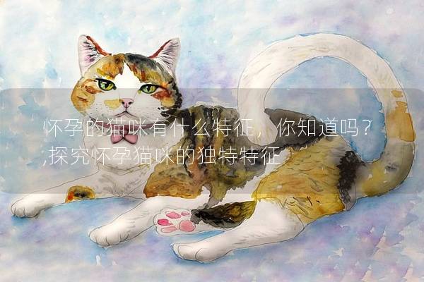 怀孕的猫咪有什么特征，你知道吗？,探究怀孕猫咪的独特特征