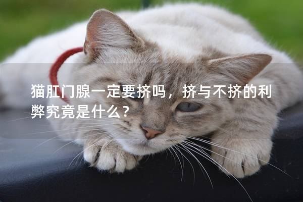 猫肛门腺一定要挤吗，挤与不挤的利弊究竟是什么？