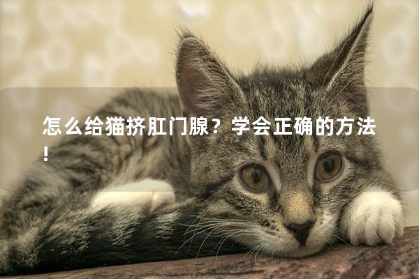 怎么给猫挤肛门腺？学会正确的方法!