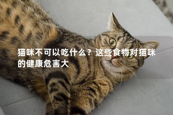 猫咪不可以吃什么？这些食物对猫咪的健康危害大