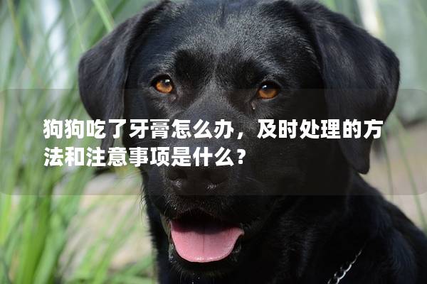 狗狗吃了牙膏怎么办，及时处理的方法和注意事项是什么？