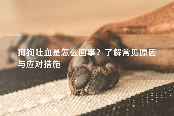 狗狗吐血是怎么回事？了解常见原因与应对措施