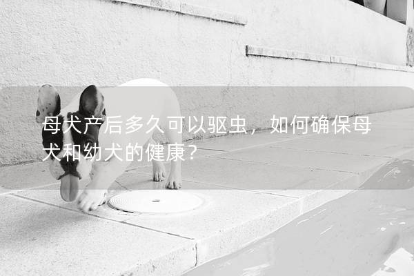 母犬产后多久可以驱虫，如何确保母犬和幼犬的健康？