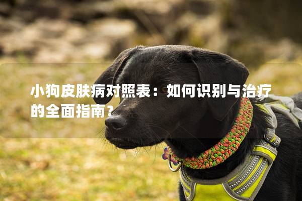 小狗皮肤病对照表：如何识别与治疗的全面指南？