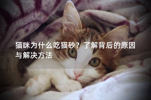 猫咪为什么吃猫砂？了解背后的原因与解决方法