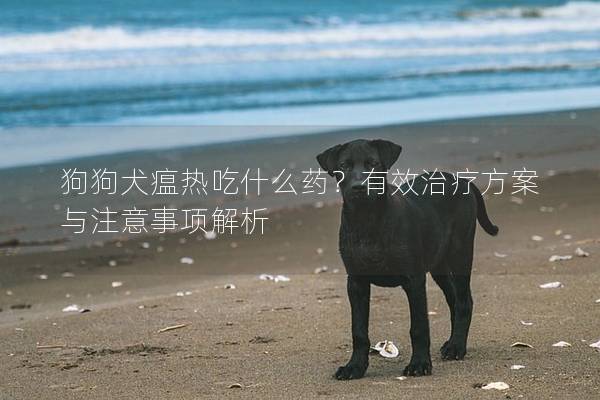 狗狗犬瘟热吃什么药？有效治疗方案与注意事项解析