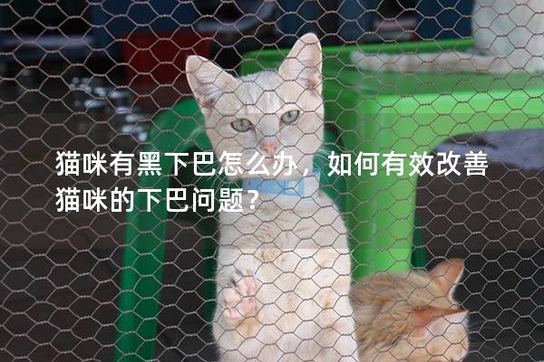 猫咪有黑下巴怎么办，如何有效改善猫咪的下巴问题？