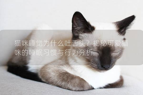 猫咪睡觉为什么吐舌头？揭秘可爱猫咪的睡眠习惯与行为分析