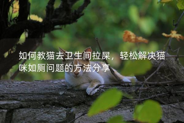 如何教猫去卫生间拉屎，轻松解决猫咪如厕问题的方法分享