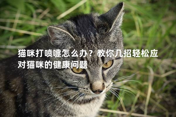 猫咪打喷嚏怎么办？教你几招轻松应对猫咪的健康问题