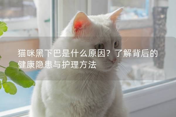 猫咪黑下巴是什么原因？了解背后的健康隐患与护理方法