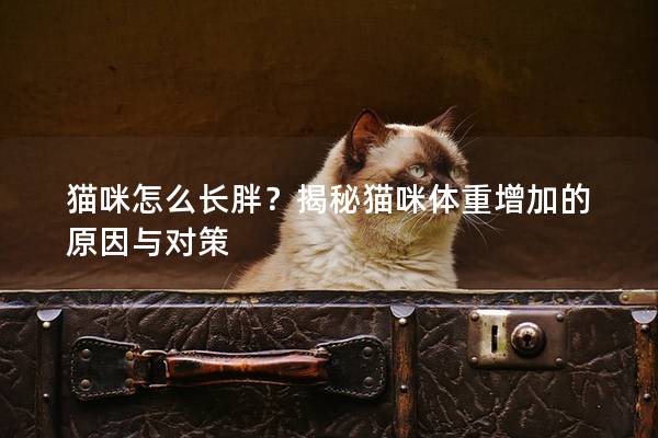 猫咪怎么长胖？揭秘猫咪体重增加的原因与对策