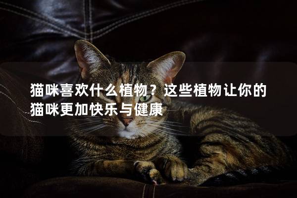 猫咪喜欢什么植物？这些植物让你的猫咪更加快乐与健康