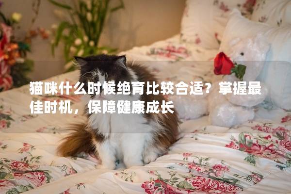 猫咪什么时候绝育比较合适？掌握最佳时机，保障健康成长