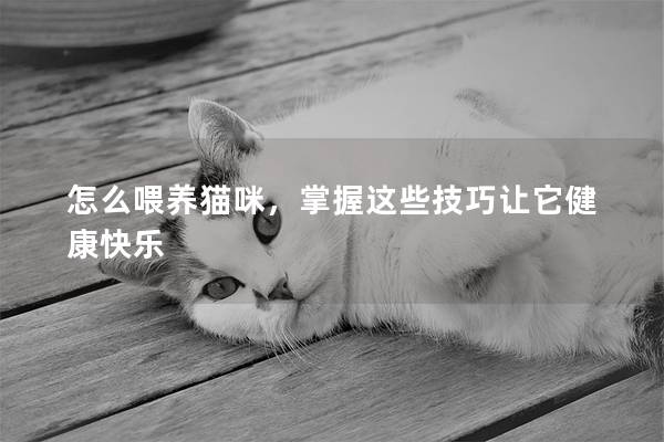 怎么喂养猫咪，掌握这些技巧让它健康快乐