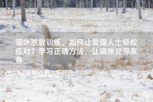 猫咪脱敏训练，如何让爱猫人士轻松应对？学习正确方法，让猫咪变得友善