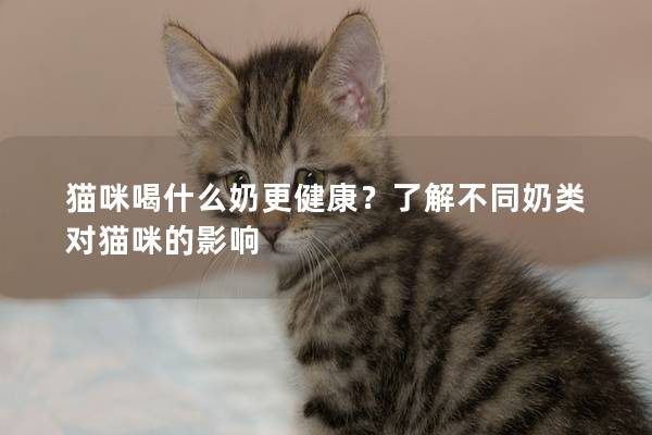 猫咪喝什么奶更健康？了解不同奶类对猫咪的影响