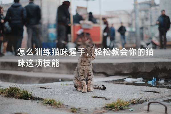 怎么训练猫咪握手，轻松教会你的猫咪这项技能