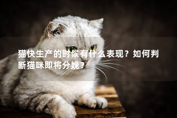 猫快生产的时候有什么表现？如何判断猫咪即将分娩？