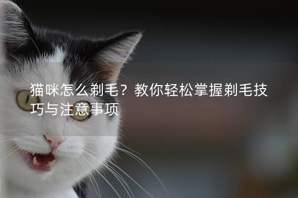 猫咪怎么剃毛？教你轻松掌握剃毛技巧与注意事项