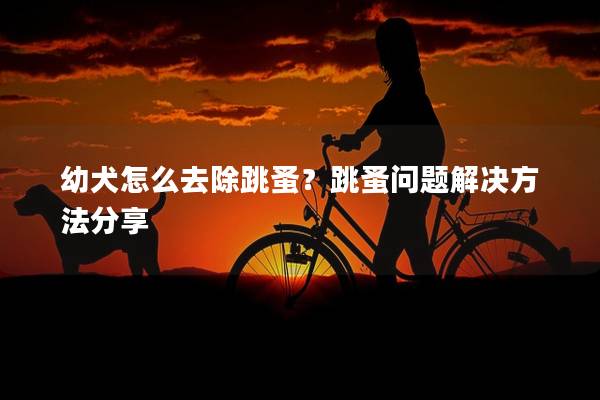 幼犬怎么去除跳蚤？跳蚤问题解决方法分享