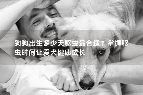 狗狗出生多少天驱虫最合适？掌握驱虫时间让爱犬健康成长