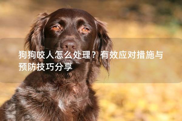 狗狗咬人怎么处理？有效应对措施与预防技巧分享