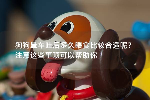 狗狗晕车吐后多久喂食比较合适呢？注意这些事项可以帮助你