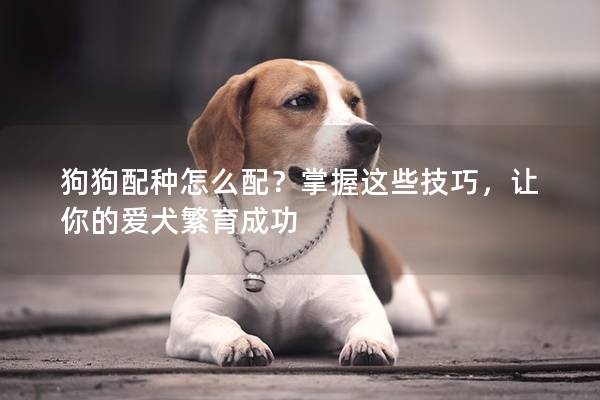 狗狗配种怎么配？掌握这些技巧，让你的爱犬繁育成功