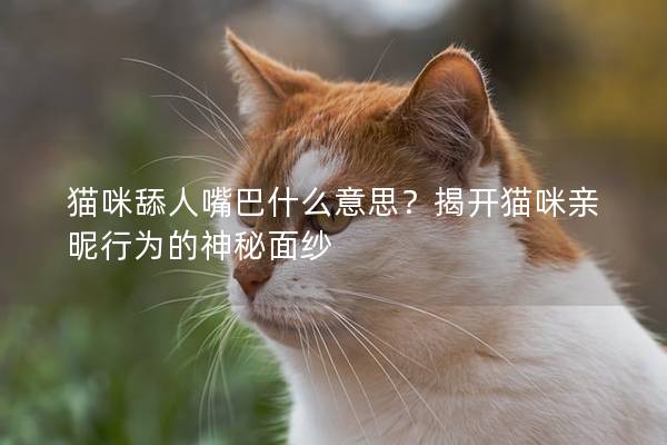 猫咪舔人嘴巴什么意思？揭开猫咪亲昵行为的神秘面纱