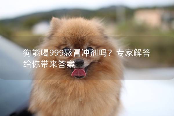 狗能喝999感冒冲剂吗？专家解答给你带来答案