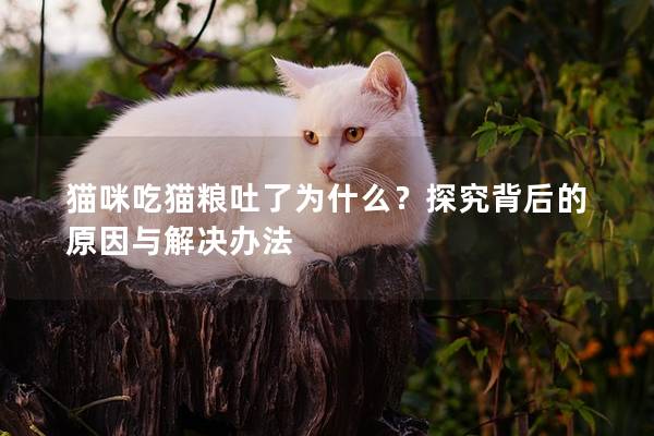 猫咪吃猫粮吐了为什么？探究背后的原因与解决办法