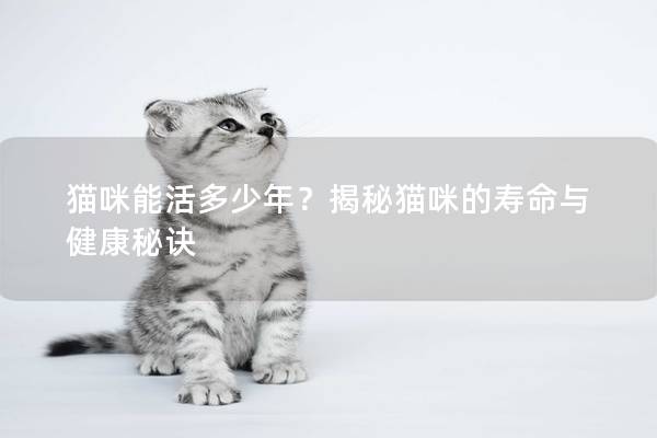 猫咪能活多少年？揭秘猫咪的寿命与健康秘诀