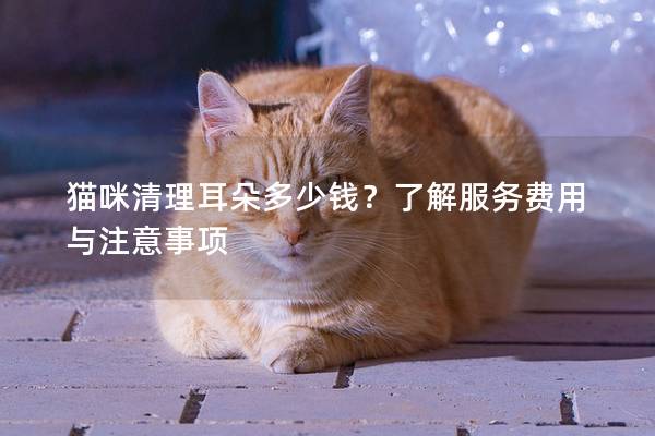 猫咪清理耳朵多少钱？了解服务费用与注意事项