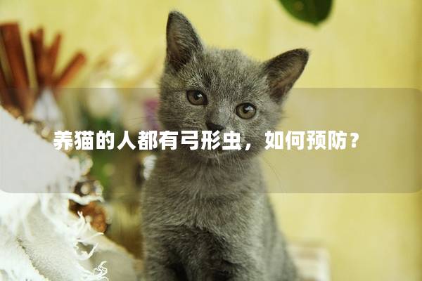 养猫的人都有弓形虫，如何预防？