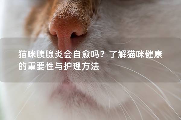 猫咪胰腺炎会自愈吗？了解猫咪健康的重要性与护理方法