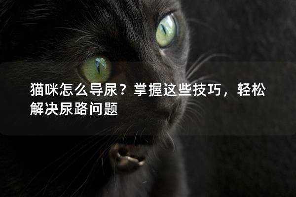 猫咪怎么导尿？掌握这些技巧，轻松解决尿路问题