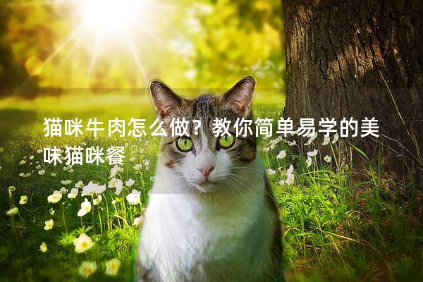 猫咪牛肉怎么做？教你简单易学的美味猫咪餐