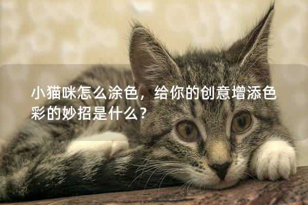 小猫咪怎么涂色，给你的创意增添色彩的妙招是什么？